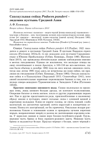 Саксаульная сойка Podoces panderi - эндемик пустынь Средней Азии