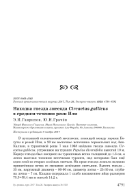 Находка гнезда змееяда Circaetus gallicus в среднем течении реки Или