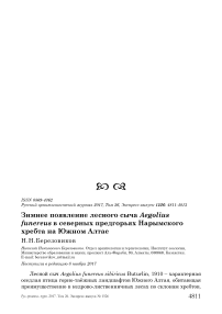 Зимнее появление лесного сыча Aegolius funereus в северных предгорьях Нарымского хребта на Южном Алтае