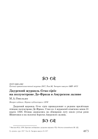 Даурский журавль Grus vipio на полуострове Де-Фриза в Амурском заливе