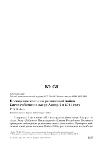 Посещение колонии реликтовой чайки Larus relictus на озере Аксор-2 в 2011 году