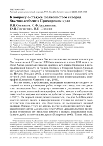 К вопросу о статусе шелковистого скворца Sturnus sericeus в Приморском крае