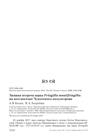 Зимняя встреча юрка Fringilla montifringilla на юго-востоке Чукотского полуострова