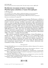 Необычно поздняя встреча теньковки Phylloscopus collybita в Санкт-Петербурге