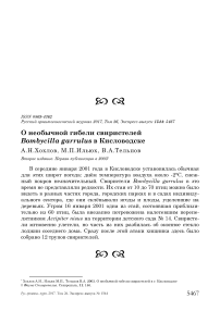 О необычной гибели свиристелей Bombycilla garrulus в Кисловодске