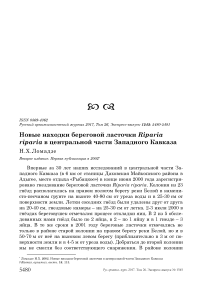 Новые находки береговой ласточки Riparia riparia в центральной части Западного Кавказа