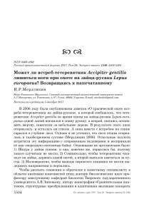 Может ли ястреб-тетеревятник Accipiter gentilis лишиться ноги при охоте на зайца-русака Lepus europaeus? Возвращаясь к напечатанному