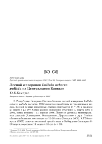 Лесной жаворонок Lullula arborea pallida на Центральном Кавказе