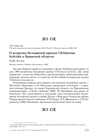 О встречах белощёкой крачки Chlidonias hybrida в Брянской области