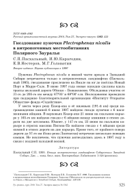 Гнездование пуночки Plectrophenax nivalis в антропогенных местообитаниях Полярного Зауралья