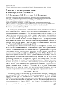 О новых и редких видах птиц в Волгоградском Заволжье