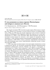 О гнездовании кулика-сороки Haematopus ostralegus в авандельте Волги