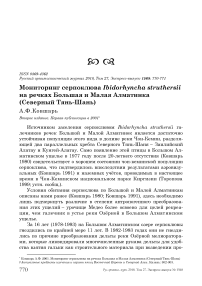 Мониторинг серпоклюва Ibidorhyncha struthersii на речках Большая и Малая Алматинка (Северный Тянь-Шань)