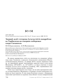 Зимний залёт тетерева Lyrurus tetrix mongolicus из Тарбагатая на северное побережье озера Сасыкколь