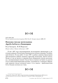 Находка гнезда могильника Aquila heliaca в Башкирии