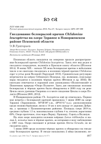 Гнездование белокрылой крачки Chlidonias leucopterus на озере Здраное в Новоржевском районе Псковской области