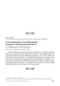 О гнездовании гоголя Bucephala clangula в Московской области