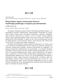 Некоторые черты поведения бекаса Gallinago gallinago в период размножения