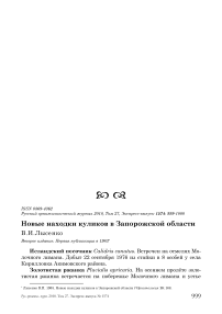 Новые находки куликов в Запорожской области