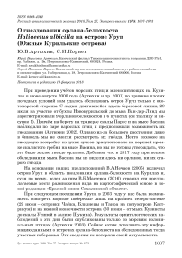 О гнездовании орлана-белохвоста Haliaeetus albicilla на острове Уруп (Южные Курильские острова)