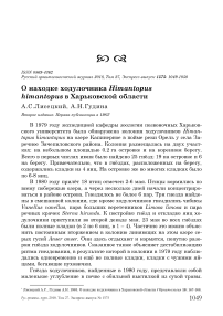 О находке ходулочника Himantopus himantopus в Харьковской области
