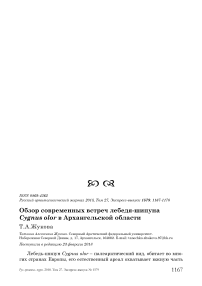 Обзор современных встреч лебедя-шипуна Cygnus olor в Архангельской области