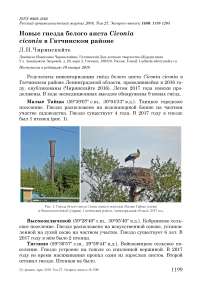 Новые гнезда белого аиста Ciconia ciconia в Гатчинском районе