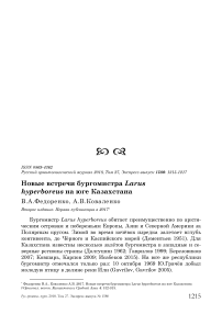 Новые встречи бургомистра Larus hyperboreus на юге Казахстана