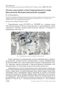 Летнее население птиц Сыръягинского озера (юго-восток Большеземельской тундры)