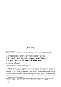 Интересные орнитологические встречи в Жуалинской долине, предгорьях Каратау и других местах Южного Казахстана