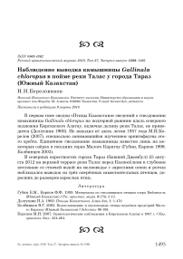 Наблюдение выводка камышницы Gallinula chloropus в пойме реки Талас у города Тараз (Южный Казахстан)