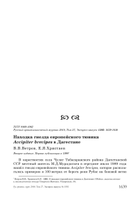 Находка гнезда европейского тювика Accipiter brevipes в Дагестане