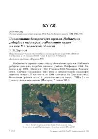 Гнездование белоплечего орлана Haliaeetus pelagicus на старом рыболовном судне на юге Магаданской области