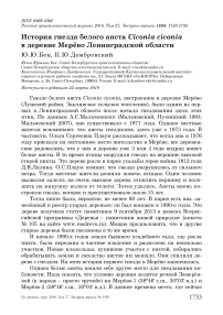 История гнезда белого аиста Ciconia ciconia в деревне Мерёво Ленинградской области