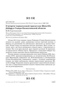 О встрече черноголовой трясогузки Motacilla feldegg в Северо-Казахстанской области