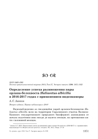 Определение успеха размножения пары орлана-белохвоста Haliaeetus albicilla в 2016-2017 годах с применением видеокамеры