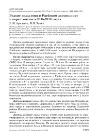 Редкие виды птиц в Рдейском заповеднике и окрестностях в 2015-2016 годах