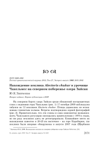 Нахождение кеклика Аlectoris chukar в урочище Чакельмес на северном побережье озера Зайсан