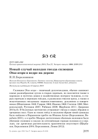 Новый случай находки гнезда сплюшки Otus scops в ведре на дереве