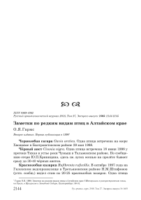 Заметки по редким видам птиц в Алтайском крае