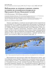 Наблюдения за птицами в ранних зимних условиях на альпийском водоразделе Проходного белка (Западный Алтай)