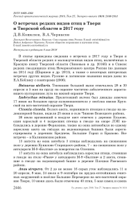 О встречах редких видов птиц в Твери и Тверской области в 2017 году