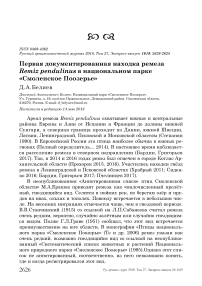 Первая документированная находка ремеза Remiz pendulinus в национальном парке "Смоленское Поозерье"