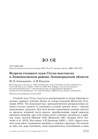 Встреча степного луня Circus macrourus в Ломоносовском районе Ленинградской области