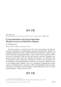О гнездовании хохлатого баклана Phalacrocorax aristotelis в Крыму
