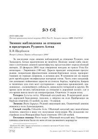 Зимние наблюдения за птицами в предгорьях Рудного Алтая