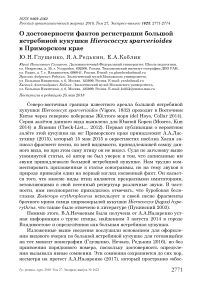 О достоверности фактов регистрации большой ястребиной кукушки Hierococcyx sparverioides в Приморском крае
