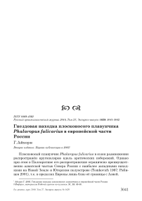 Гнездовая находка плосконосого плавунчика Phalaropus fulicarius в европейской части России