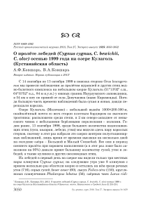 О пролёте лебедей (Cygnus cygnus, C. bewickii, C. olor) осенью 1999 года на озере Кулаголь (Кустанайская область)