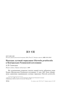 Находка луговой тиркушки Glareola pratincola в Центрально-Тувинской котловине